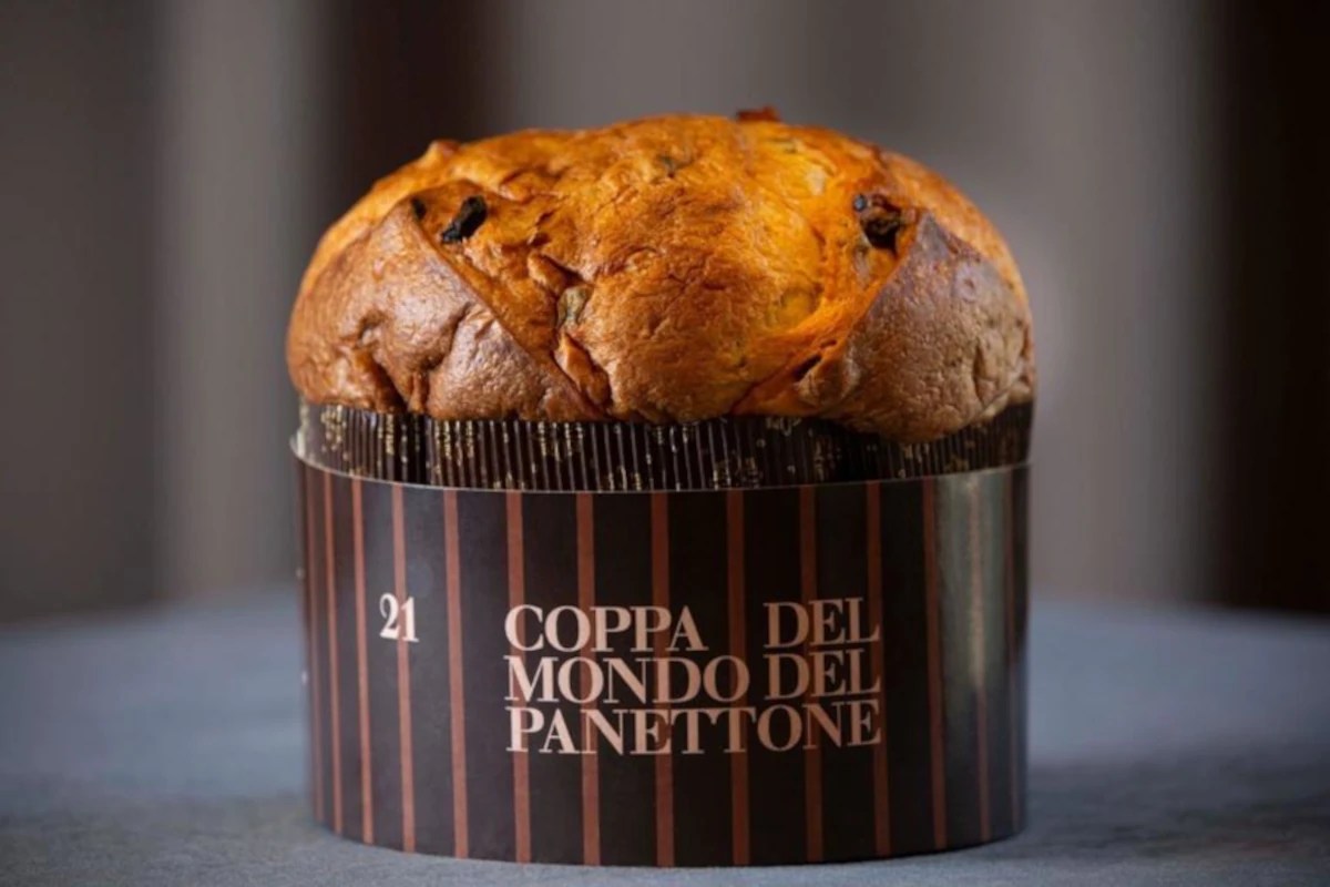 Mondo Panettone