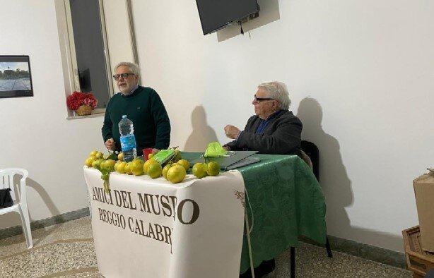 Storia Fantastica Bergamotto Arillotta