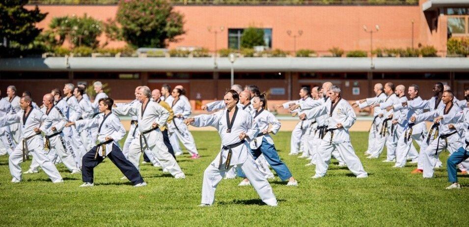 Taekwondo