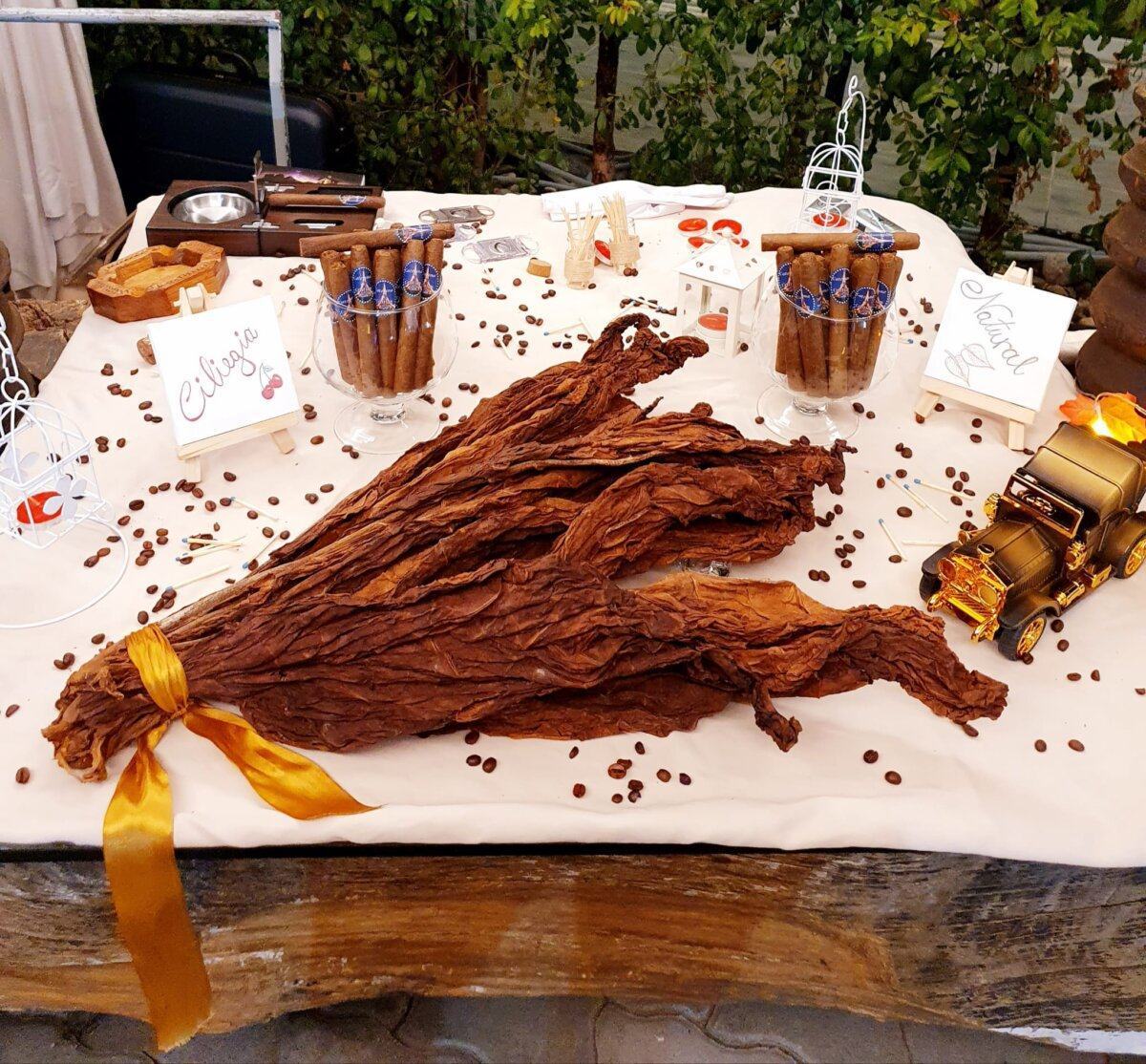 Sigari Tabacchi Plutino 2