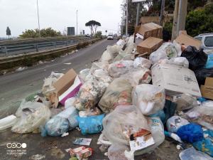 Spazzatura Rifiuti Reggio Calabria (4)