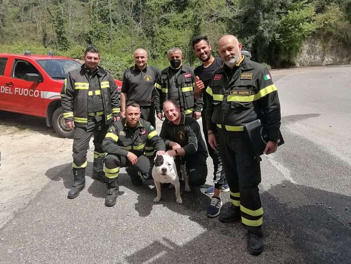 Cane Padrone Vigili Fuoco