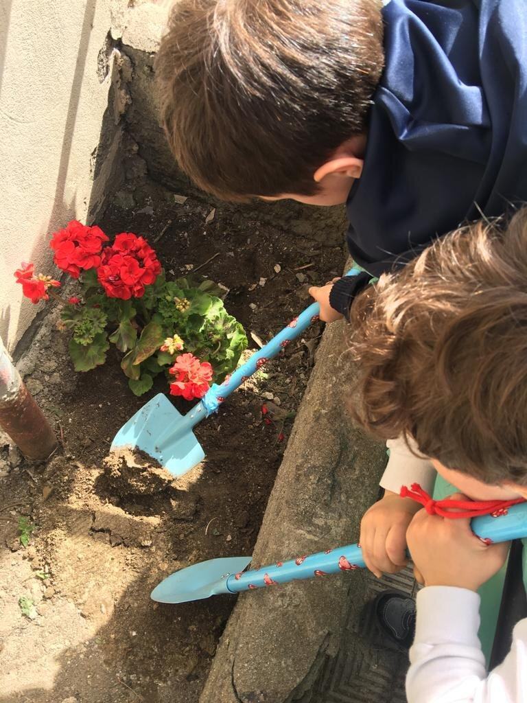 Carducci Pollice Verde