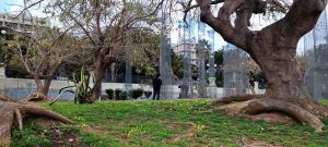 Colonne Opera Lavori Manutenzione 3