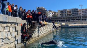 Festa Mare Capitaneria Porto (11)
