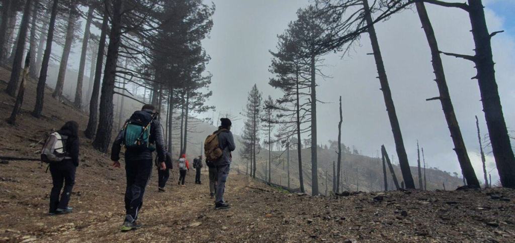 3ª marcia per l’Aspromonte: un’escursione per ricordare i catastrofici incendi del 2021