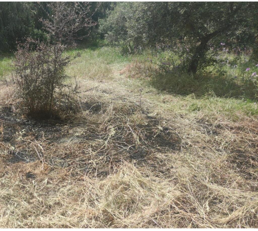 Incendi Palizzi Nesci 1