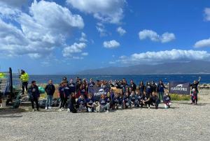 Plastic Free Gallico 4