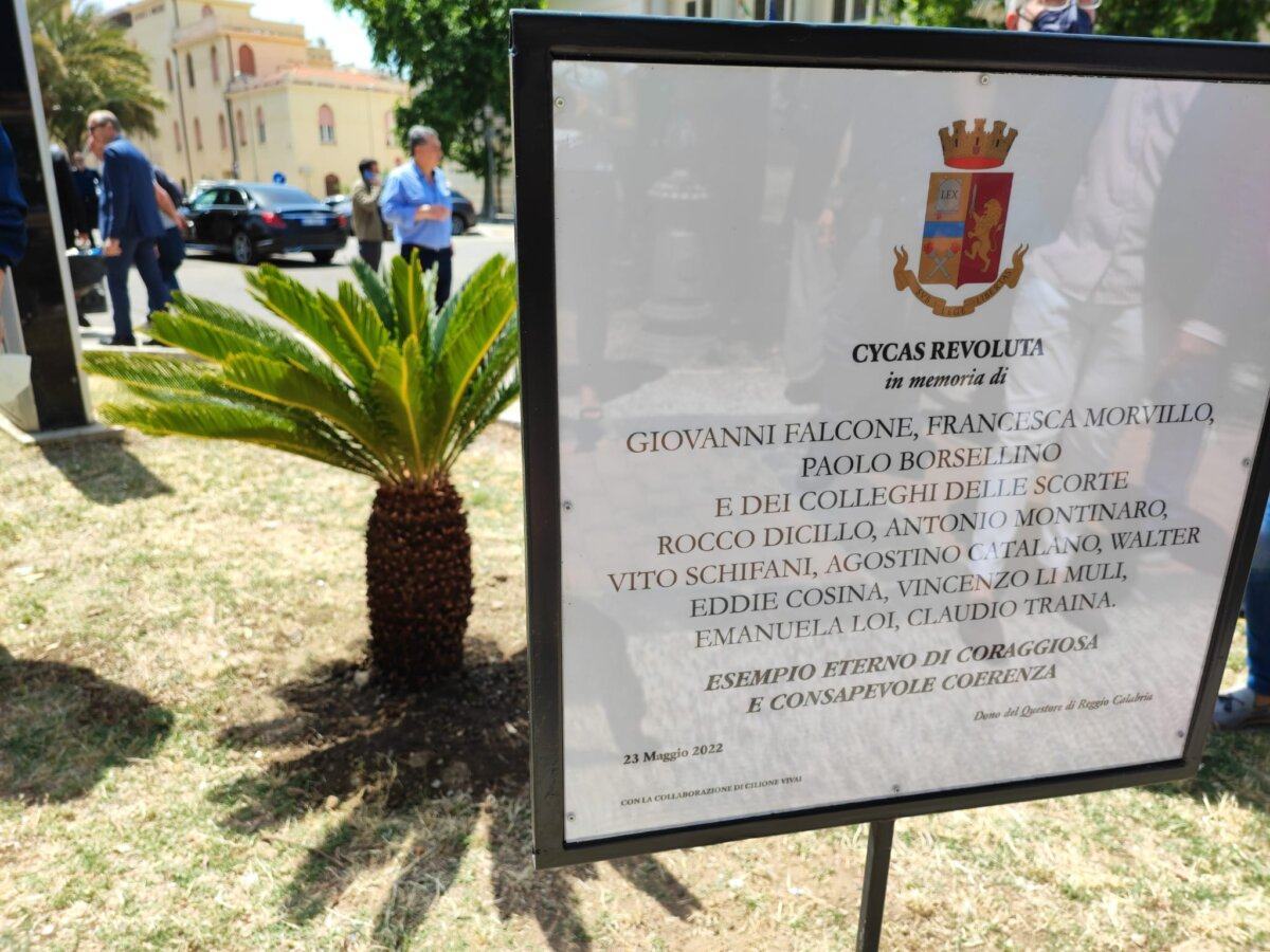 Albero Falcone 2