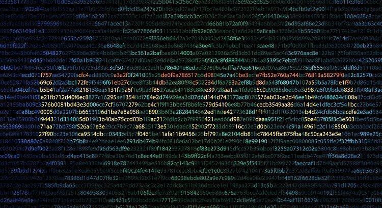 Hacked Word On Screen Binary Code Digital Background Cyber Crim