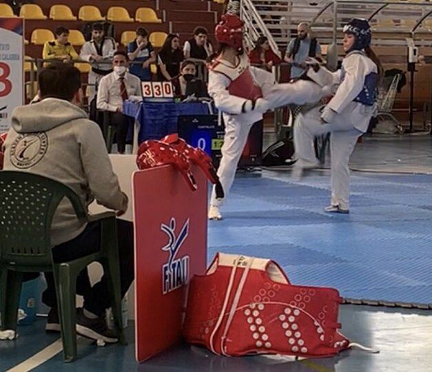 Taekwondo