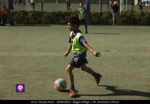 Asc Premiazioni Piccole Pesti 227