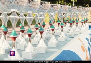 Asc Premiazioni Piccole Pesti 241