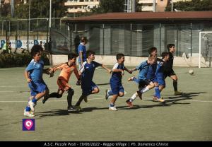 Asc Premiazioni Piccole Pesti 39