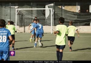 Asc Premiazioni Piccole Pesti 51