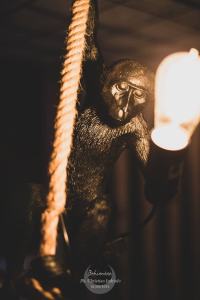 Bahianaca 1 Giugno 142