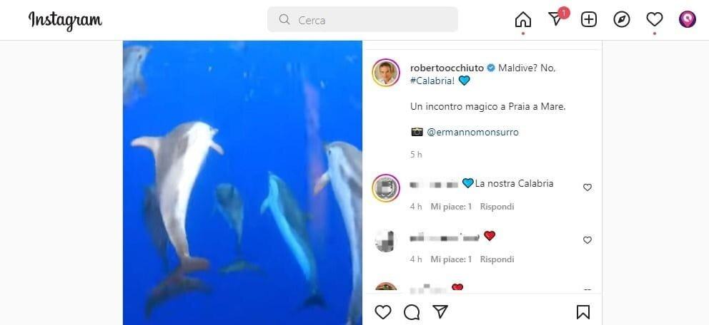 Delfini Calabria Occhiuto