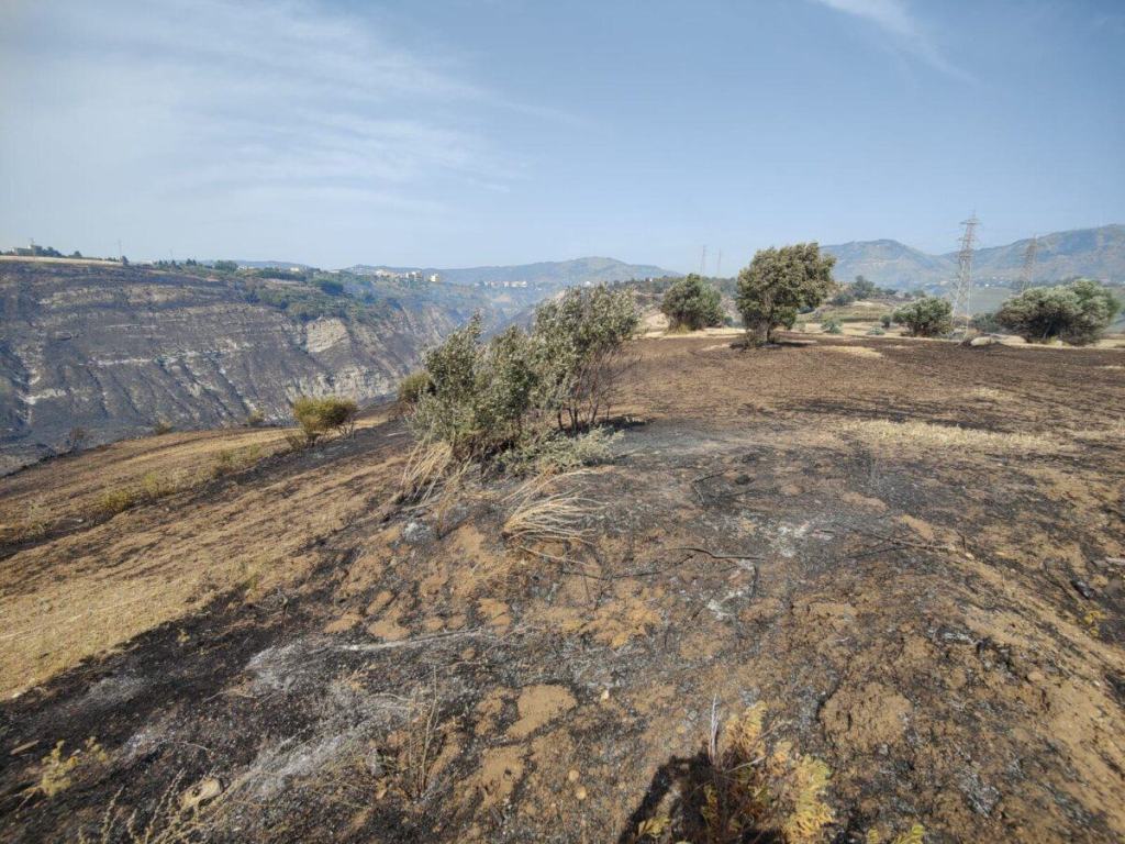 Incendio Contrada Saracinello Morloquio 3