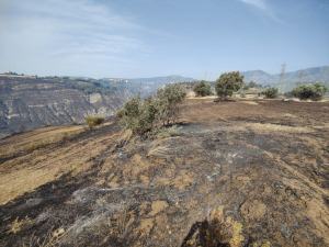 Incendio Contrada Saracinello Morloquio 3