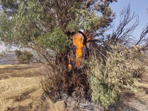 Incendio Contrada Saracinello Morloquio 4