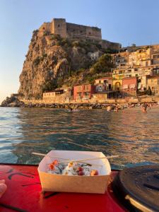 WhatsApp Image 2022 07 26 At 19 51 35 (1)