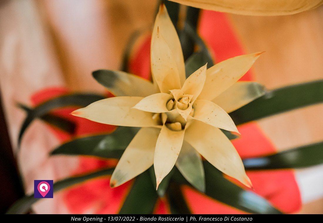 Biondo Rosticceria Rc 114