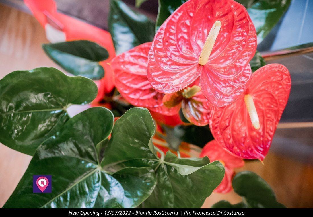 Biondo Rosticceria Rc 123