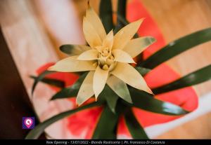 Biondo Rosticceria Rc 87