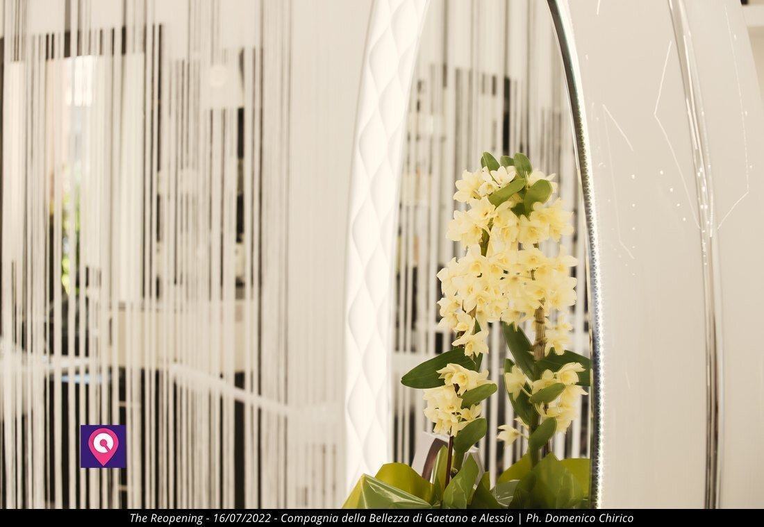 Compagnia Della Bellezza Gaetano E Alessio 32