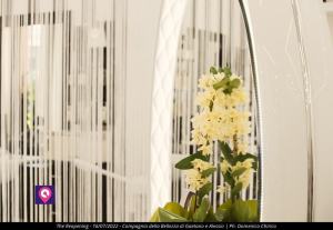 Compagnia Della Bellezza Gaetano E Alessio 32