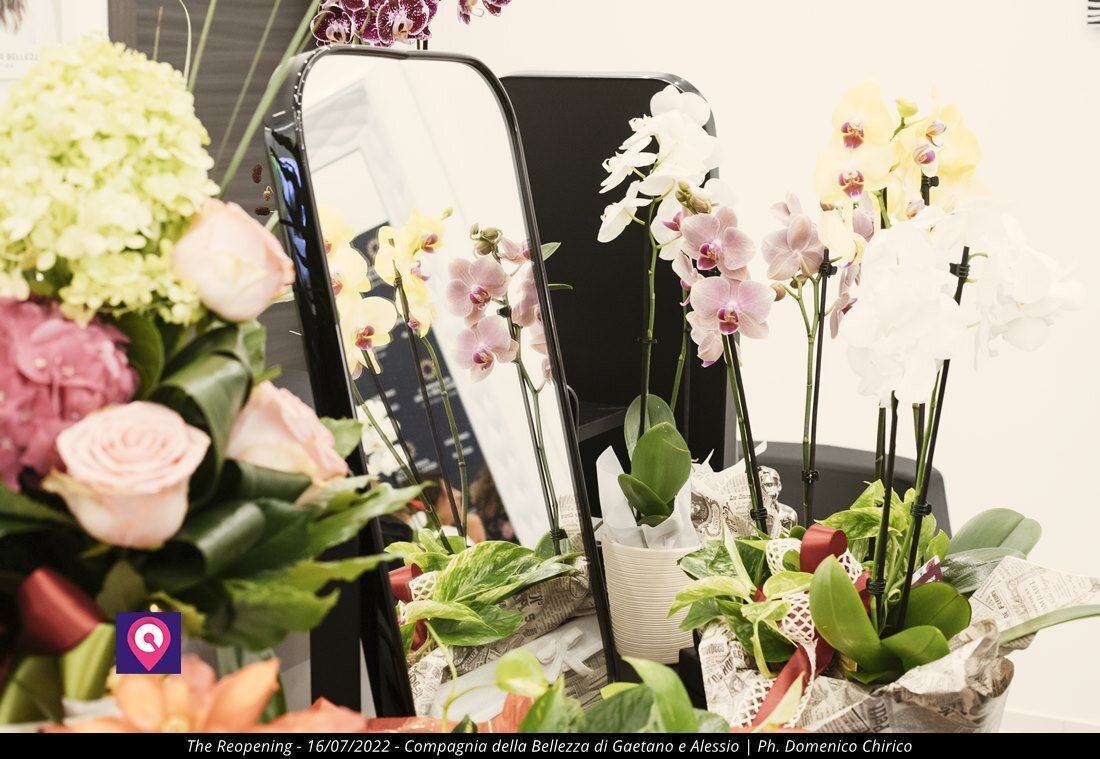 Compagnia Della Bellezza Gaetano E Alessio 60