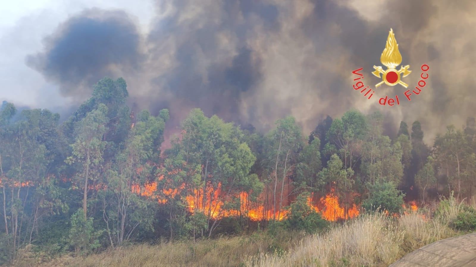 Incendi Calabria
