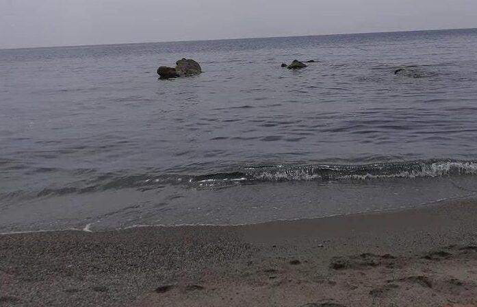 Mare