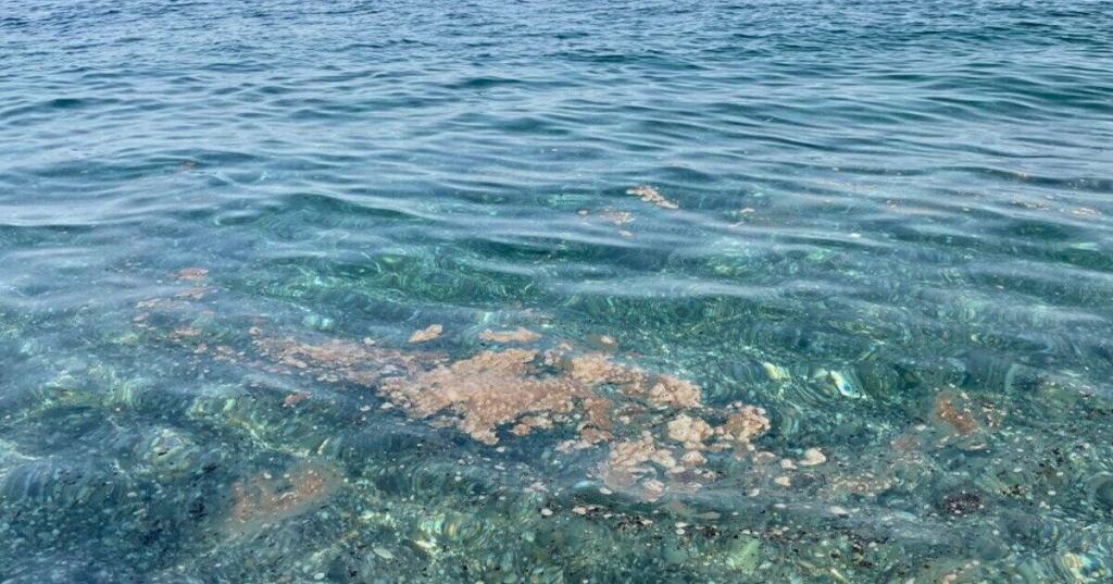 Mare Sporco 1