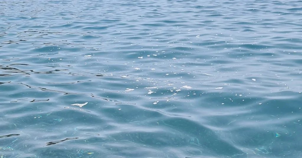 Mare Sporco San Nicola Arcella Chiazza Schiuma 1024x538