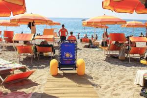 Sedia Mare Disabili 1