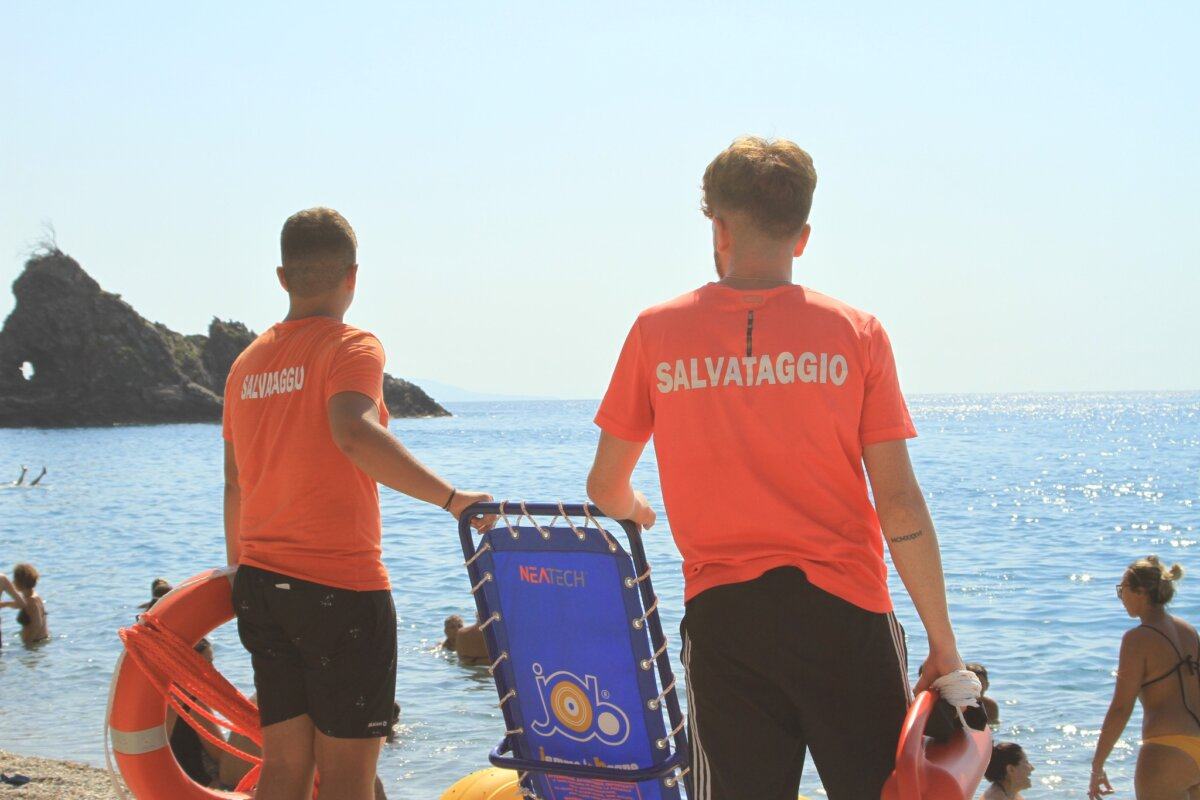 Sedia Mare Disabili 2