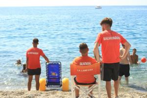 Sedia Mare Disabili 4