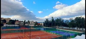 Sporting Stelle Del Sud 3