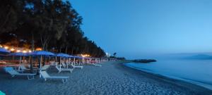 Sporting Stelle Del Sud