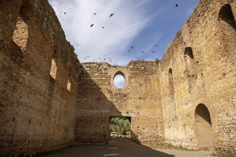 Parco Arch Scolacium FedericoNeri7646 (1) (1)