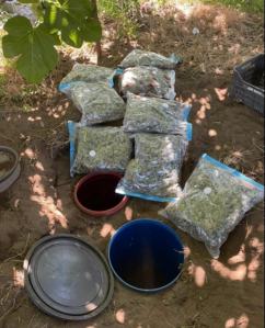 SAVE 20220802 095403