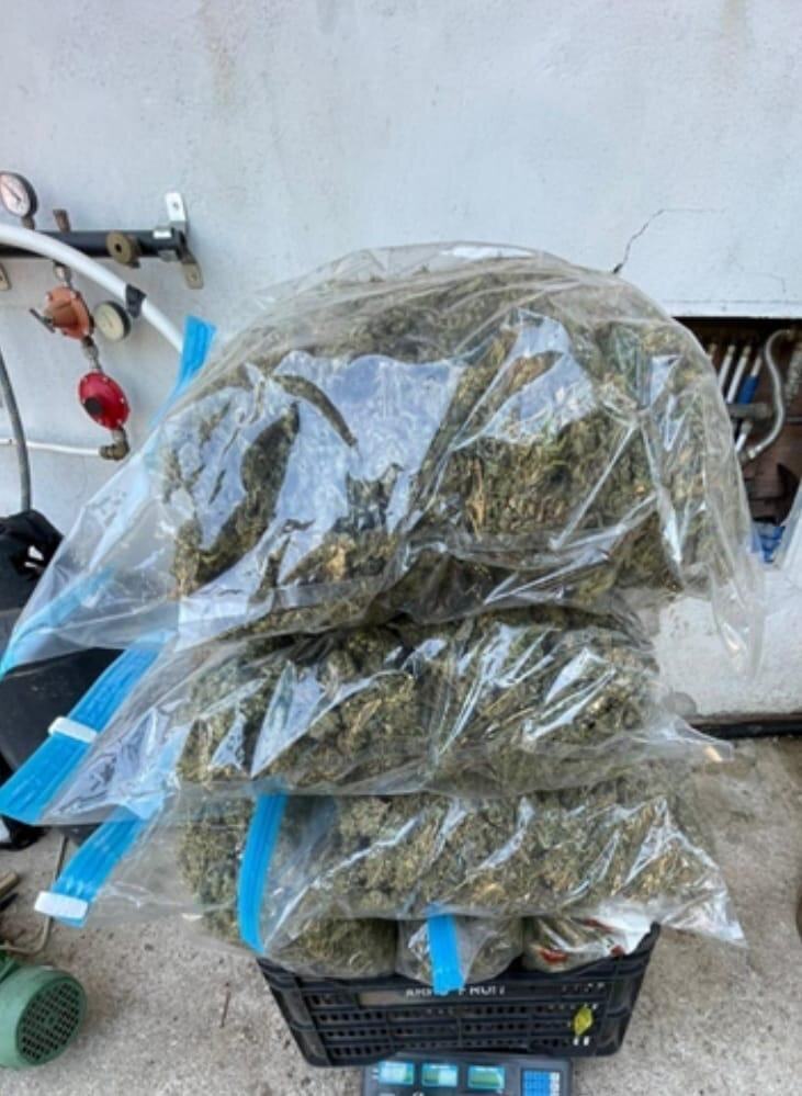 SAVE 20220802 095409