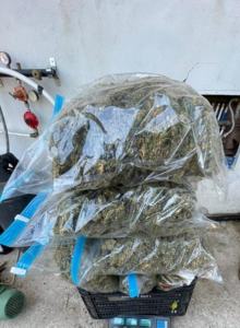 SAVE 20220802 095409