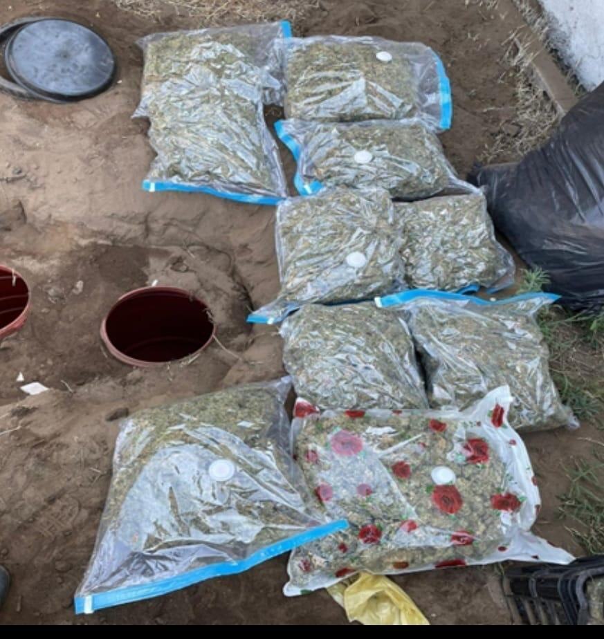 SAVE 20220802 095414