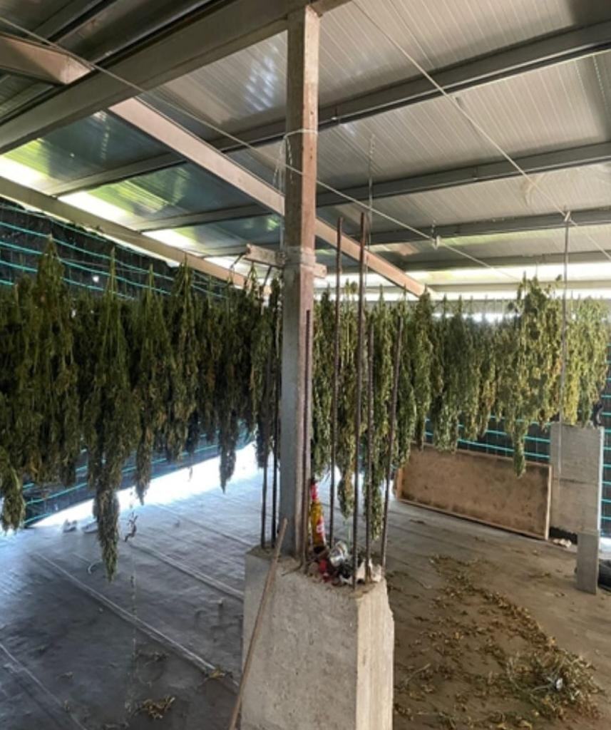 SAVE 20220802 095419