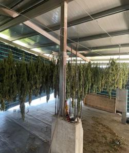 SAVE 20220802 095419