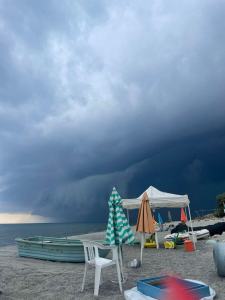 SAVE 20220812 175401