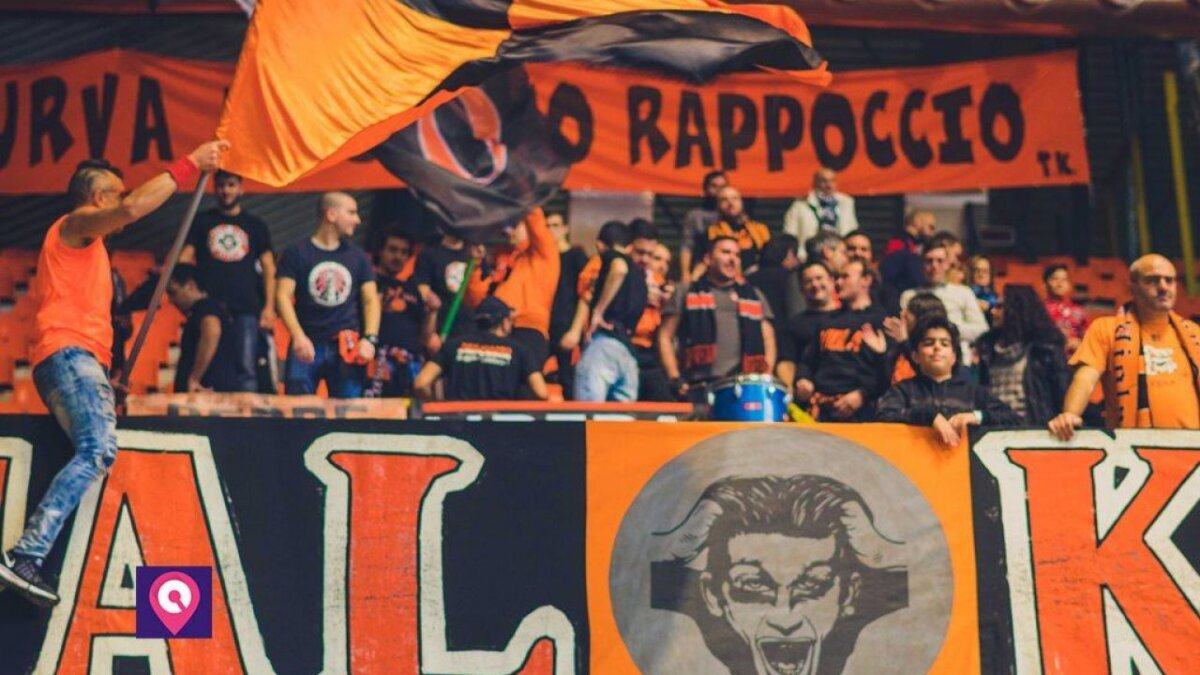 Viola CityNow 15 1280x720