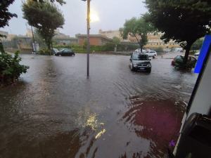 WhatsApp Image 2022 08 12 At 08 44 31